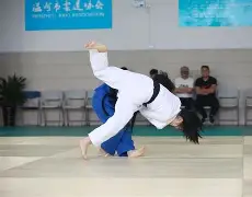 柔道夜战：渝州灰熊队读秒扳平齐鲁貔貅队，主帅临场妙招赛季拐点或已出现的简单介绍
